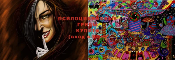 каннабис Баксан