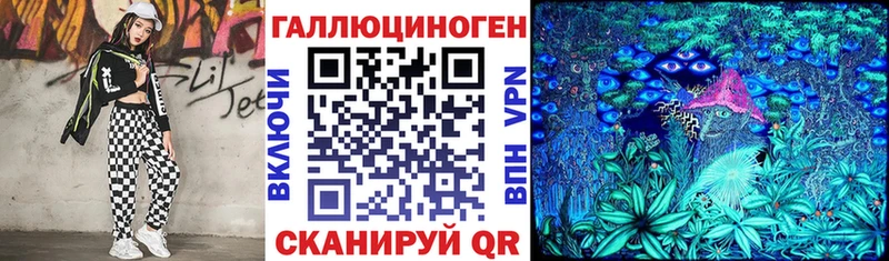 hydra как войти  Торжок  Псилоцибиновые грибы Psilocybe 